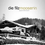 Filzmooserin - Smart Living In Filzmoos, Card Inklusive 4* Filzmoos