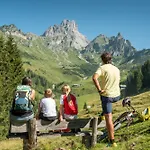 Filzmooserin - Smart Living In Filzmoos, Card Inklusive