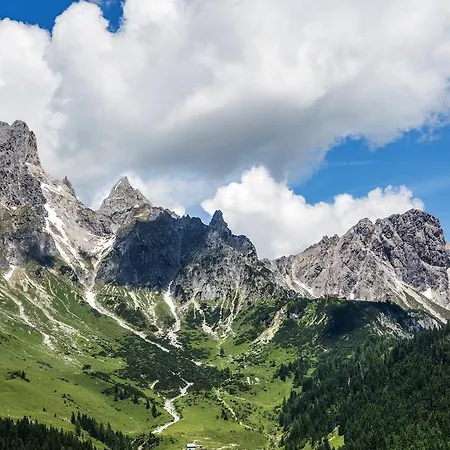 Appart hôtel Filzmooserin - Smart Living In Filzmoos, Card Inklusive 4*