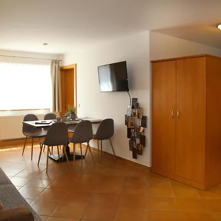 Aparthotel Filzmooserin *
