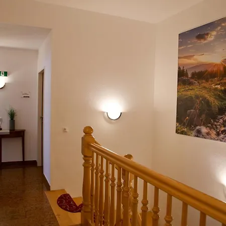 Aparthotel Filzmooserin