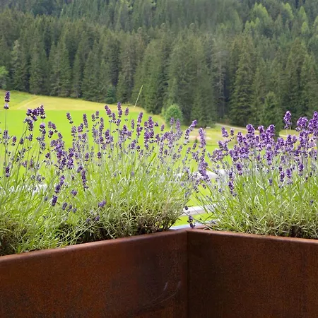 Appart hôtel Filzmooserin - Smart Living In Filzmoos, Card Inklusive 4*