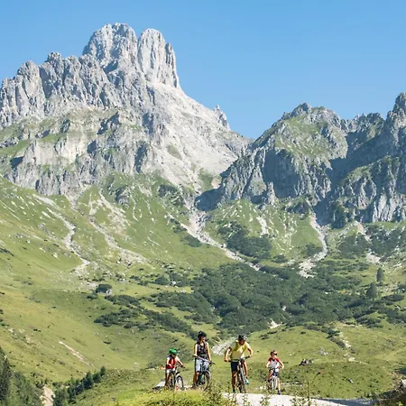 Filzmooserin - Smart Living In Filzmoos, Card Inklusive 4*