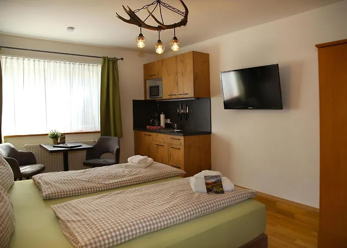 Filzmooserin - Smart Living In Filzmoos, Card Inklusive アパートホテル フィルツモース