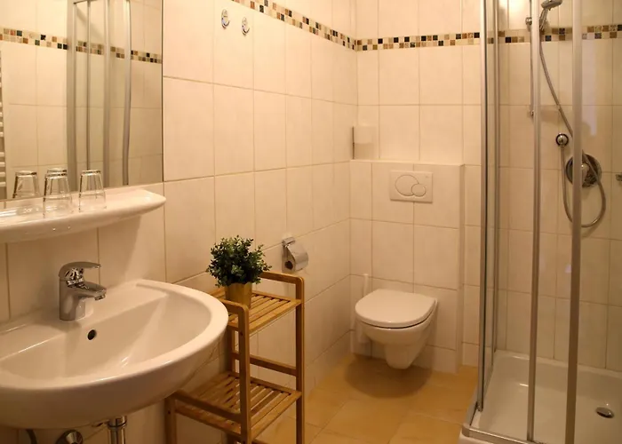 Filzmooserin - Smart Living In Filzmoos, Card Inklusive アパートホテル