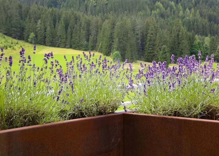 アパートホテル Filzmooserin - Smart Living In Filzmoos, Card Inklusive 4*